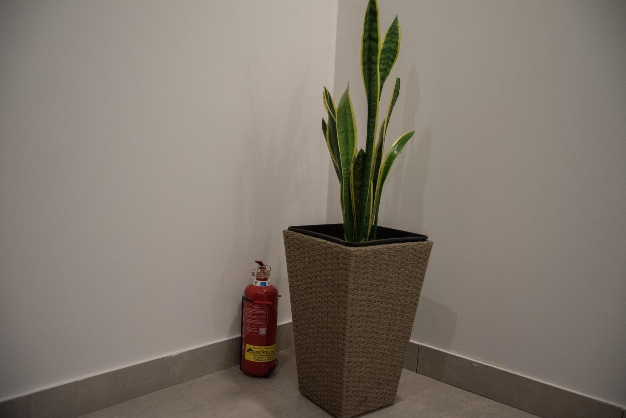 Naiads Nest - The Ground Junior Appartement Varkiza